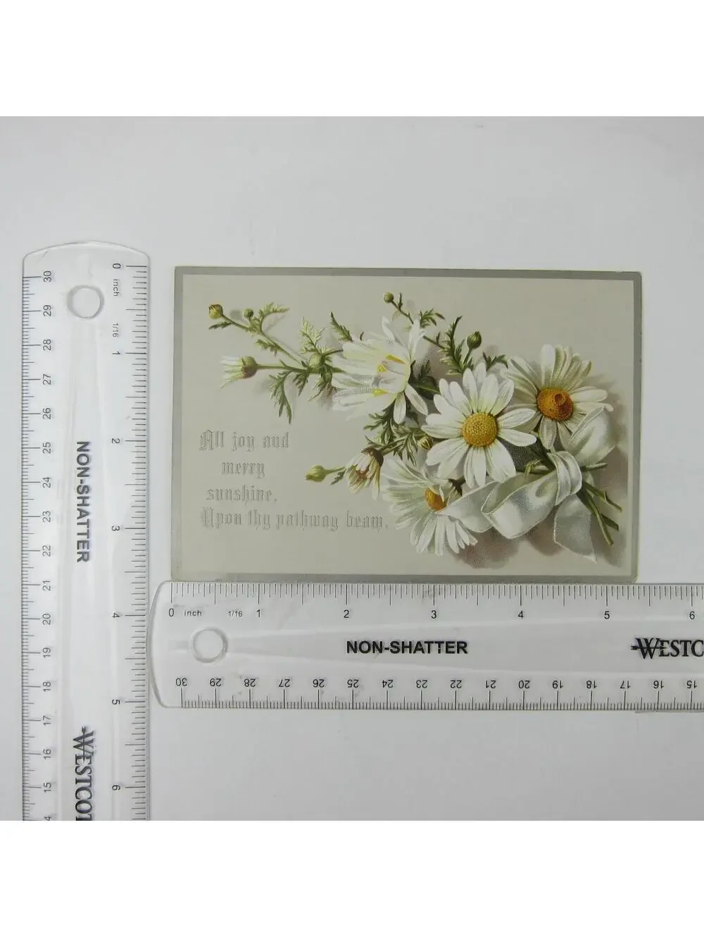Victorian Greeting Card Daisies White & Yellow Flowers Bouquet Ribbon Antique